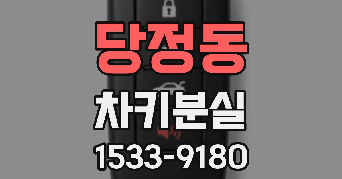당정동 차키분실