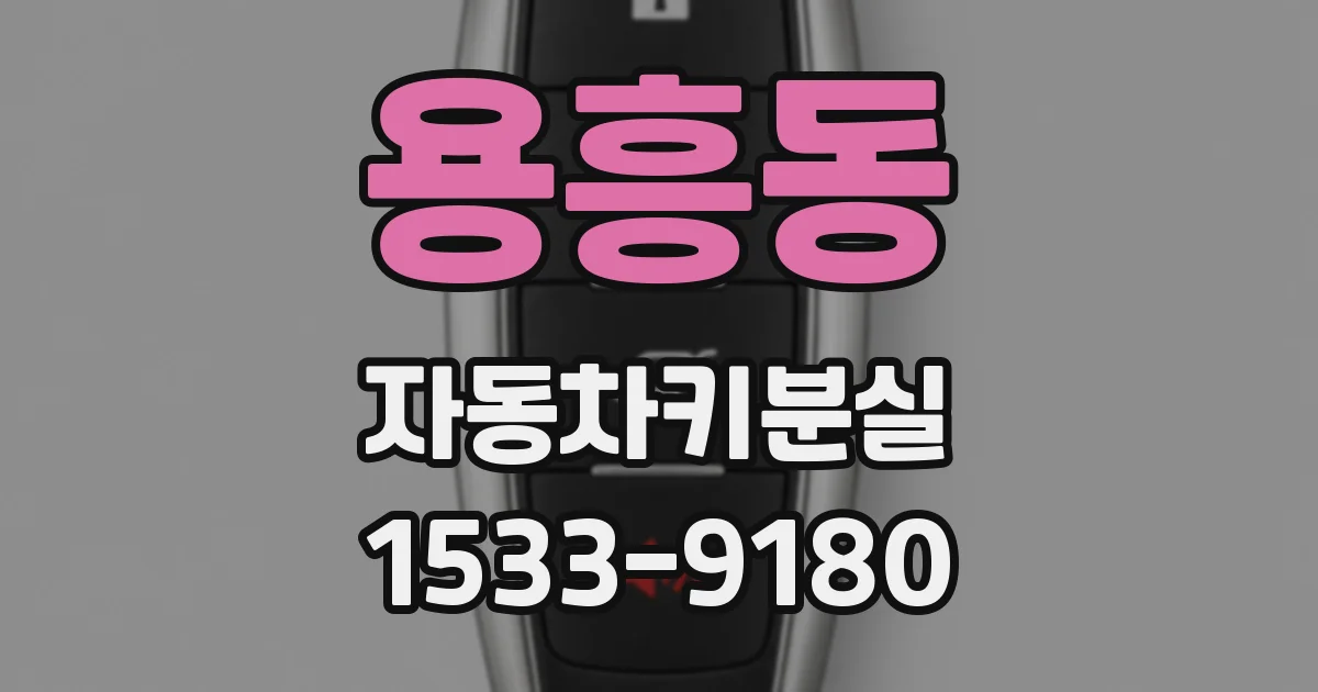 용흥동 자동차키분실