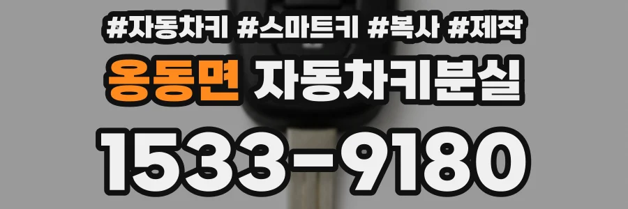 옹동면 자동차키분실