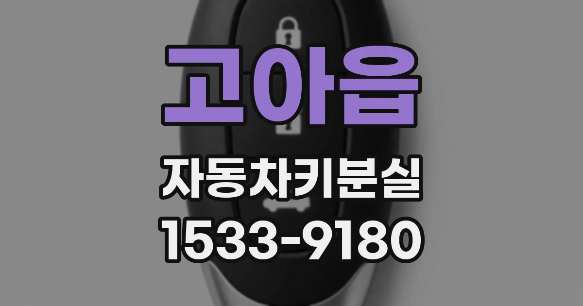 고아읍 자동차키분실
