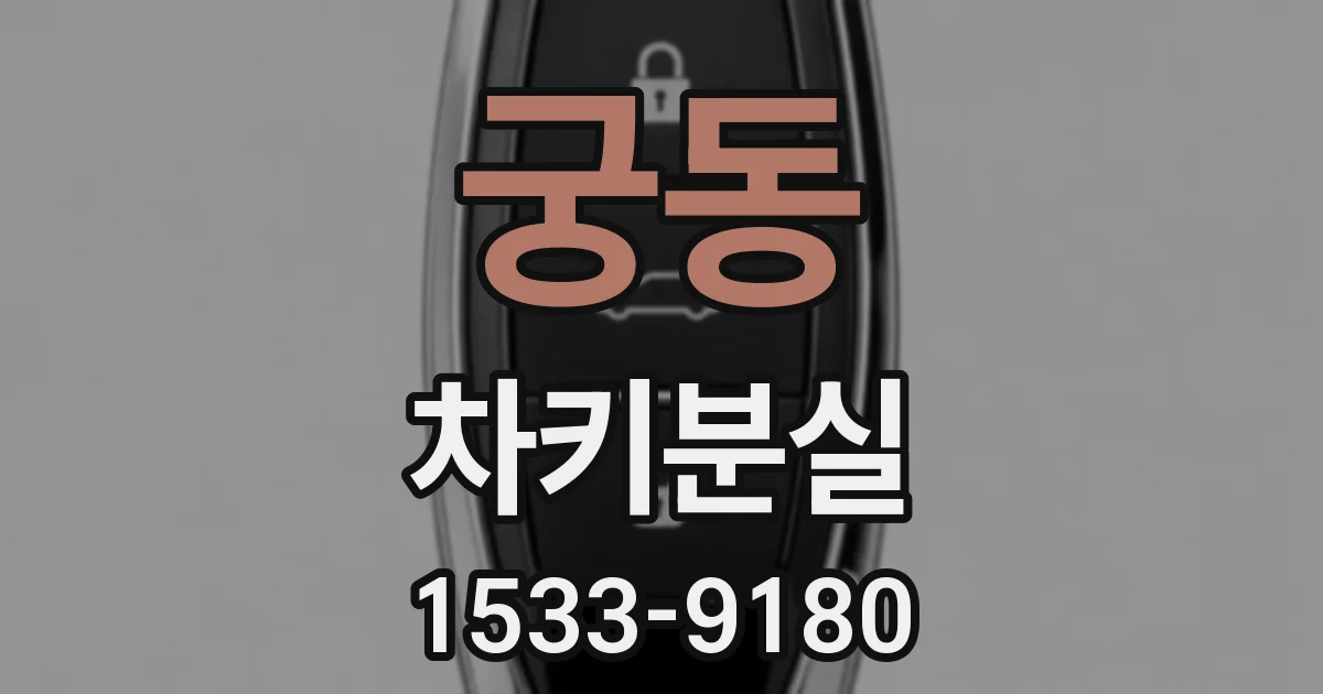 궁동 차키분실
