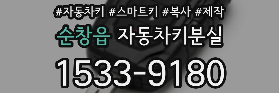 순창읍 자동차키분실