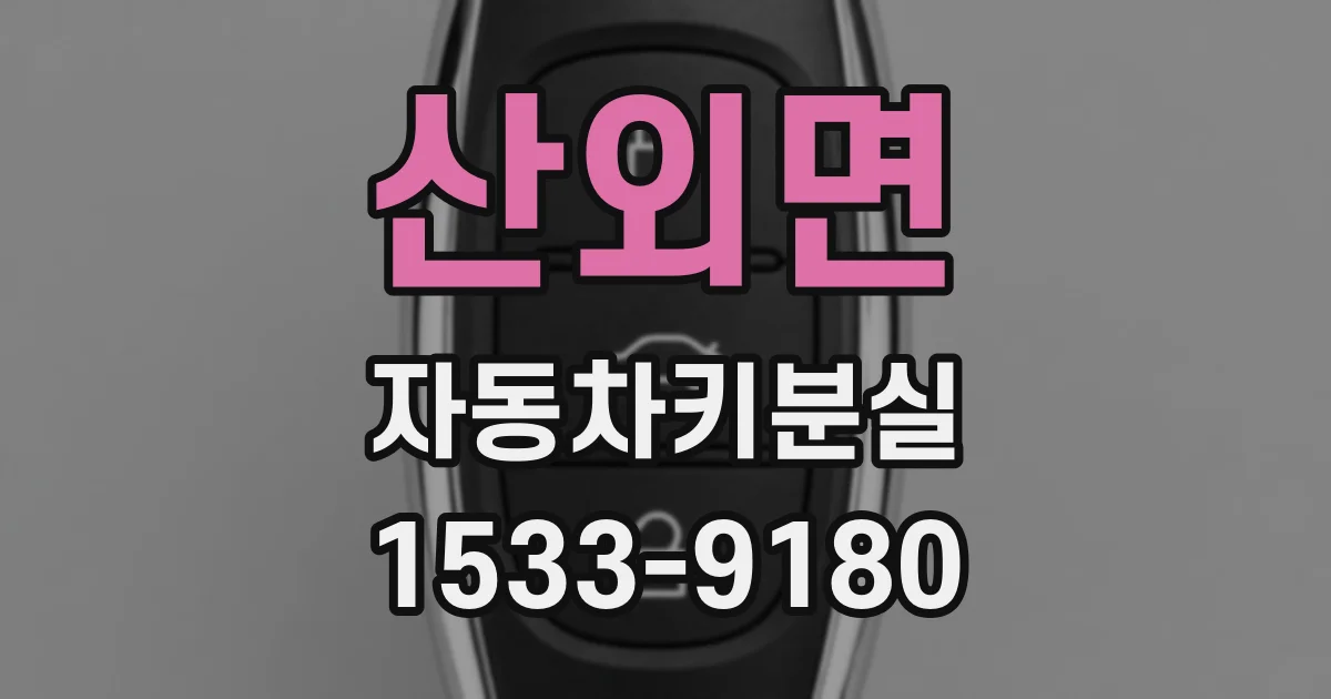 산외면 자동차키분실