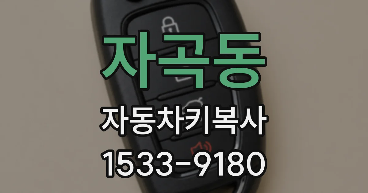 자곡동 자동차키복사