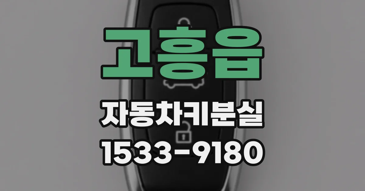 고흥읍 자동차키분실