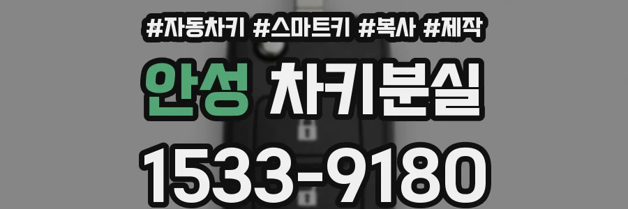 안성 차키분실