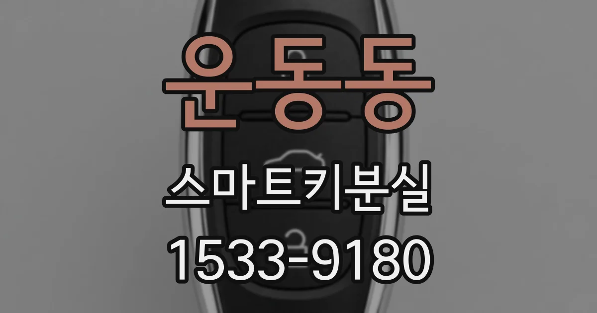 운동동 스마트키분실
