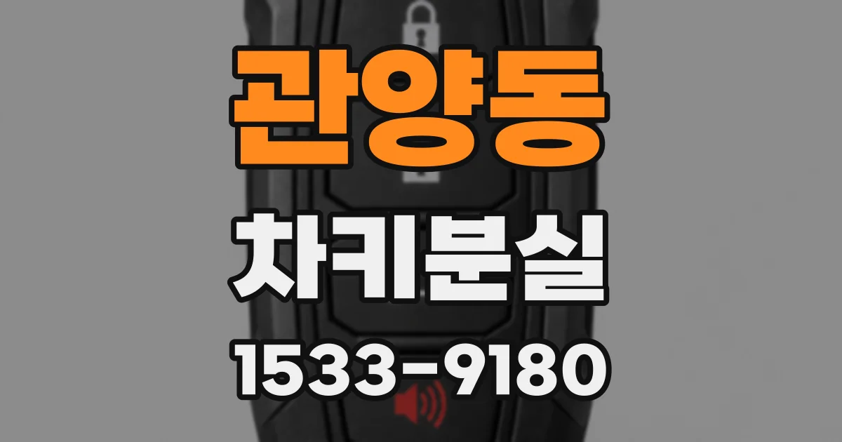 관양동 차키분실