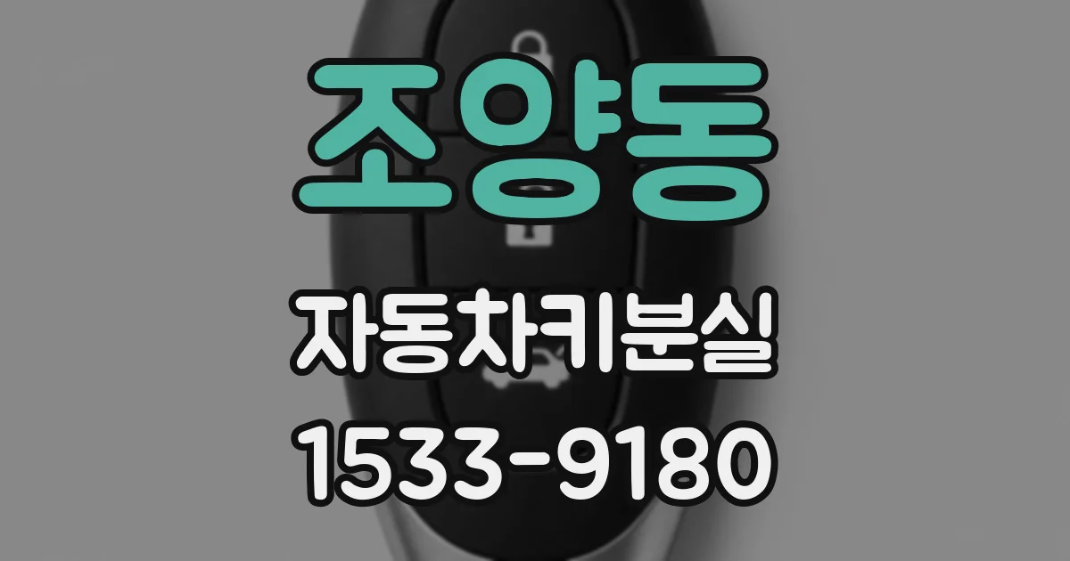 조양동 자동차키분실