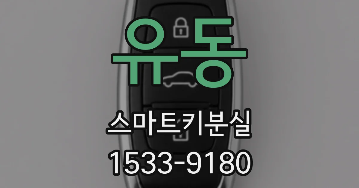 유동 스마트키분실