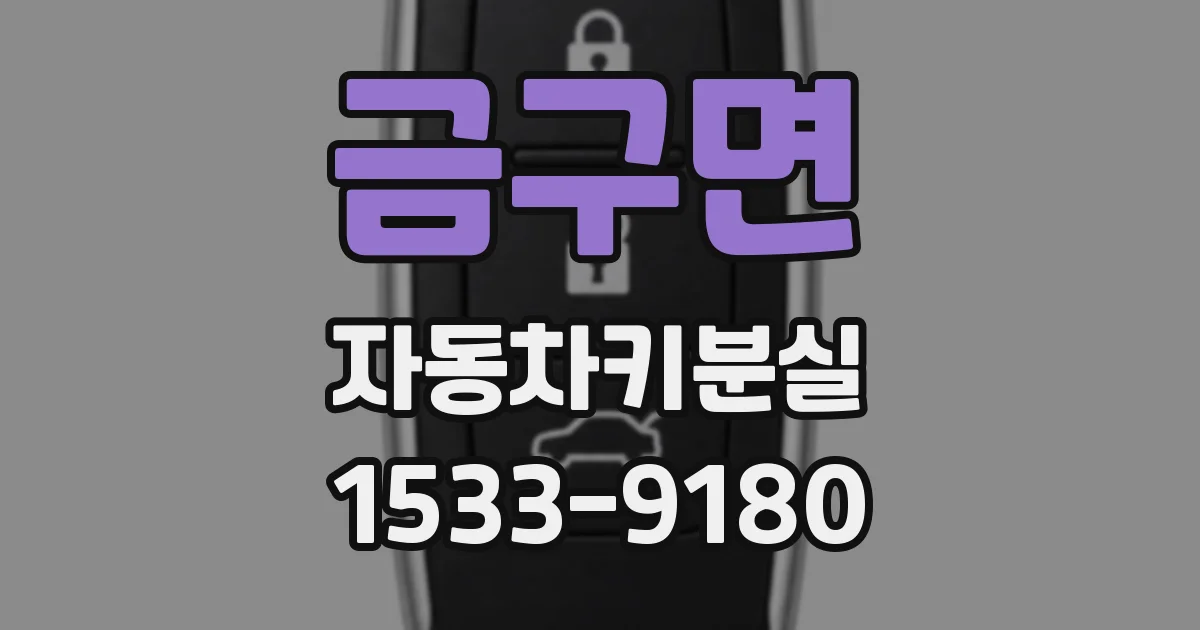 금구면 자동차키분실