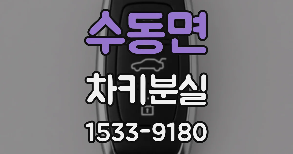 수동면 차키분실