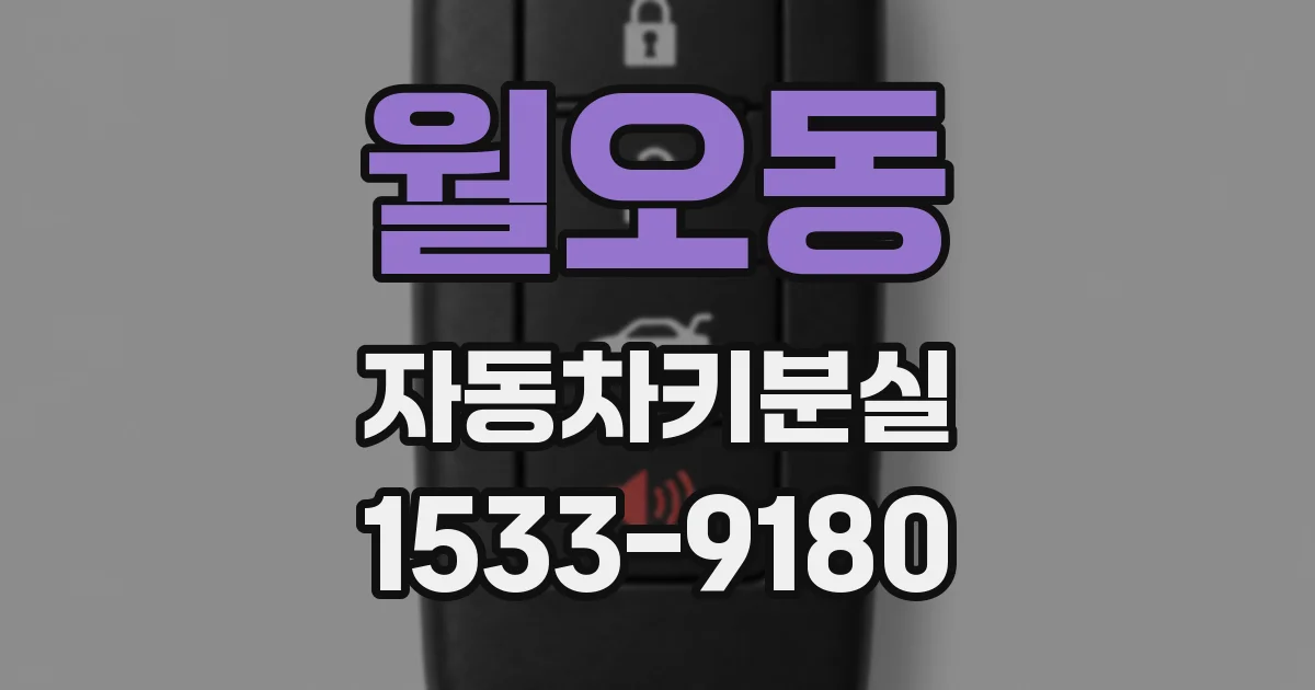 월오동 자동차키분실
