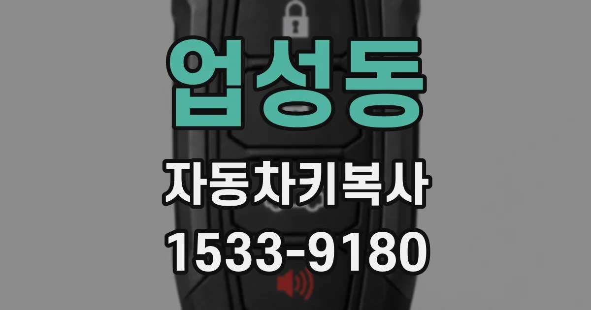 업성동 자동차키복사