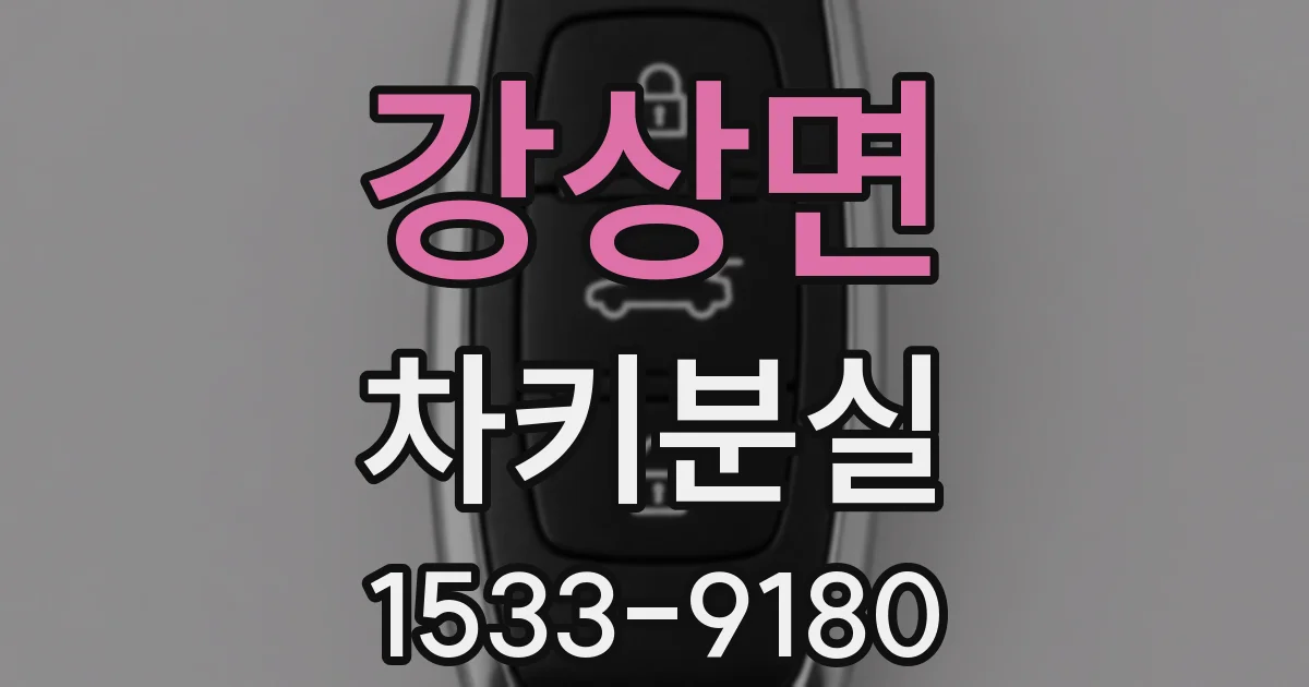 강상면 차키분실