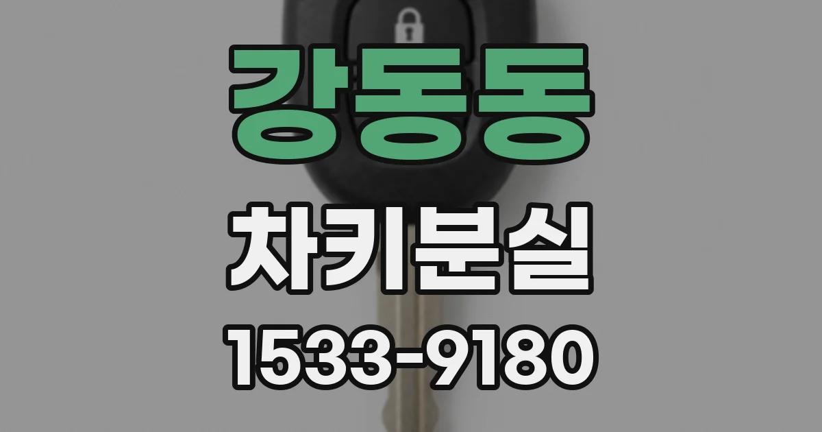 강동동 차키분실