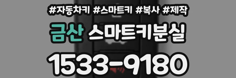 금산 스마트키분실