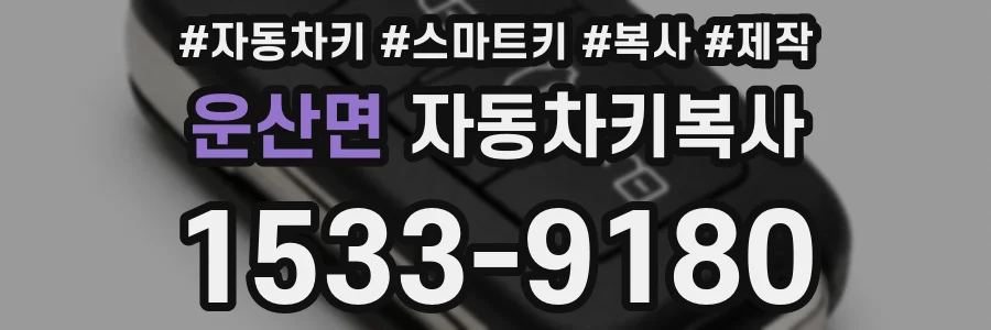 운산면 자동차키복사