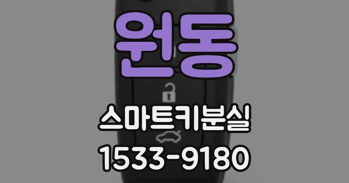 원동 스마트키분실