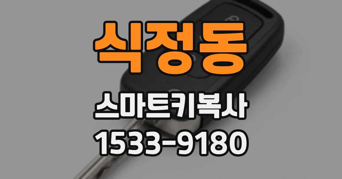 식정동 스마트키복사