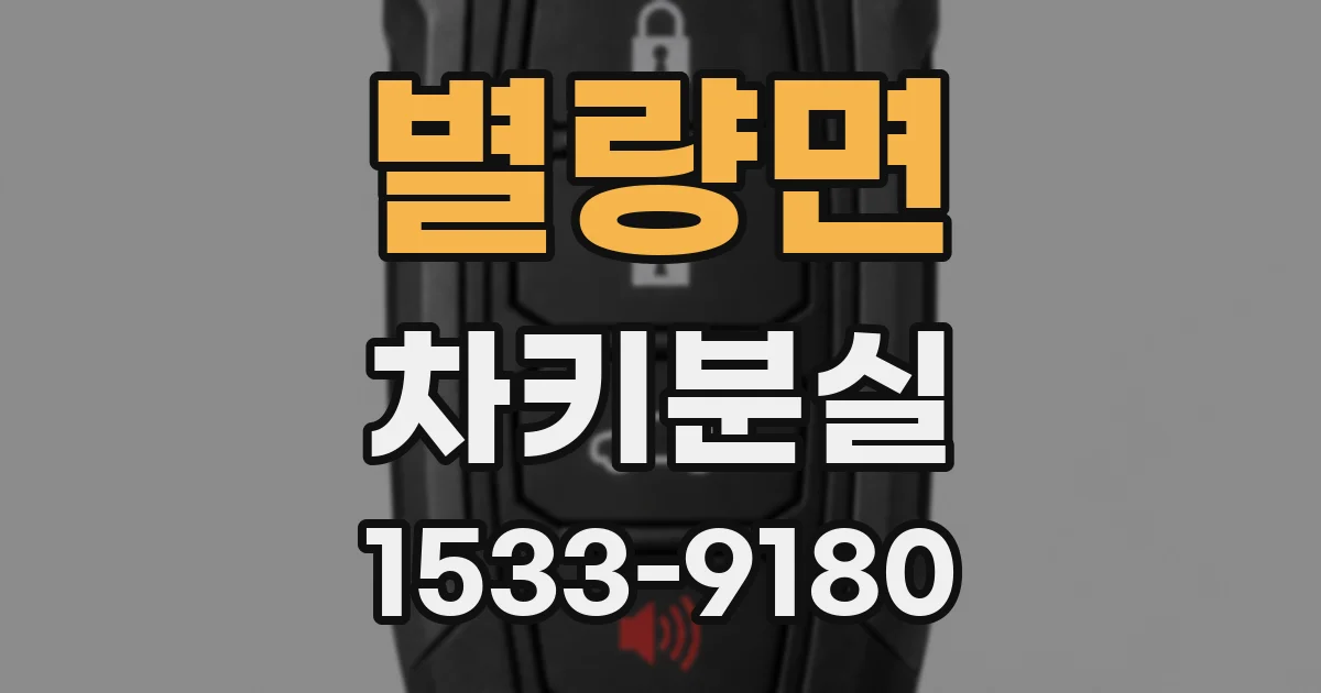 별량면 차키분실