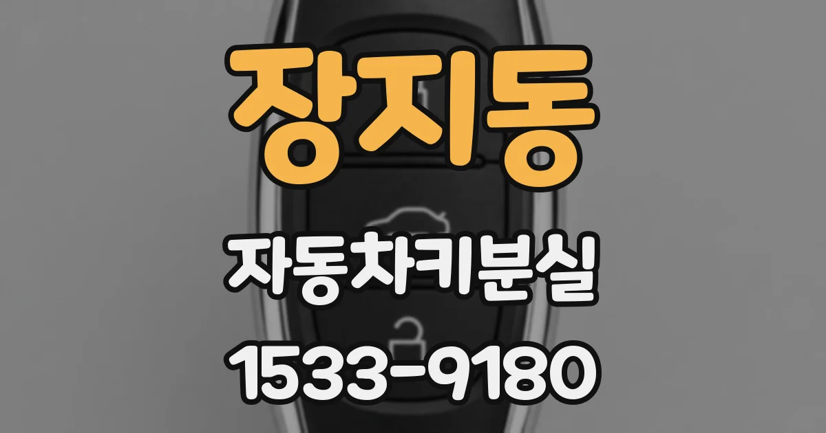장지동 자동차키분실