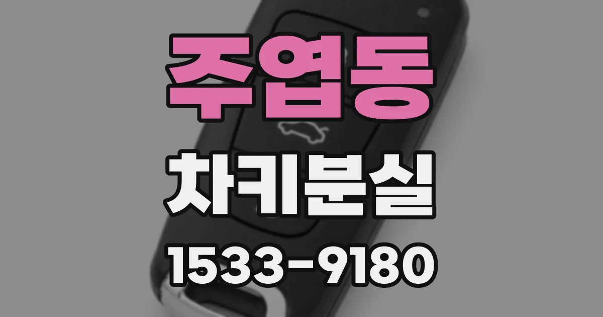 주엽동 차키분실