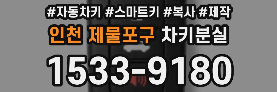 인천 제물포구 차키분실