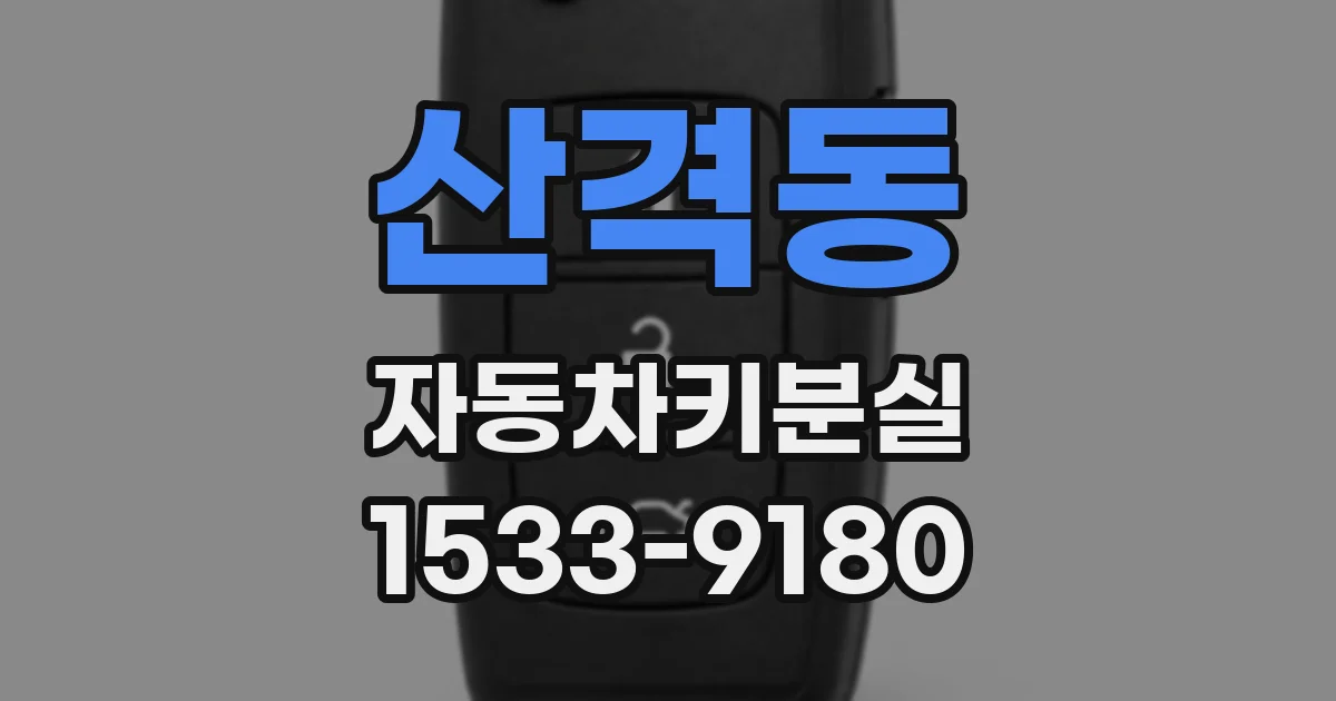 산격동 자동차키분실