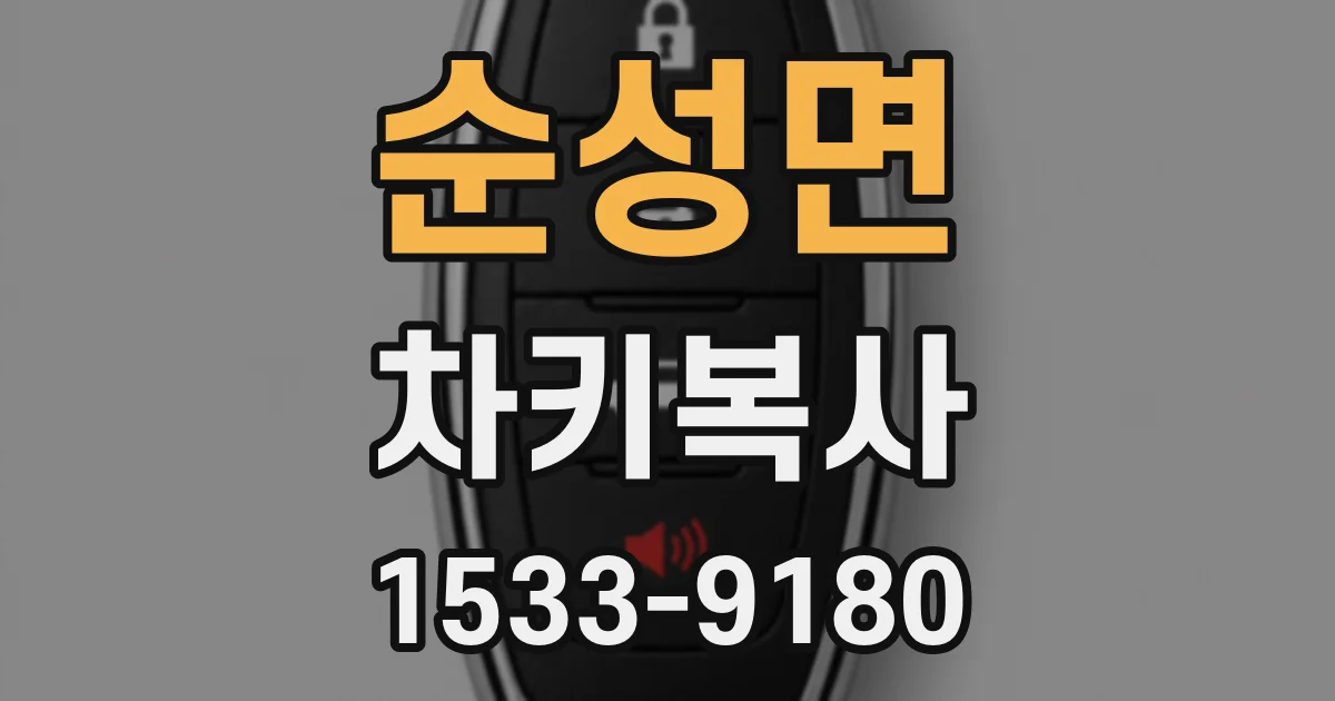 순성면 차키복사