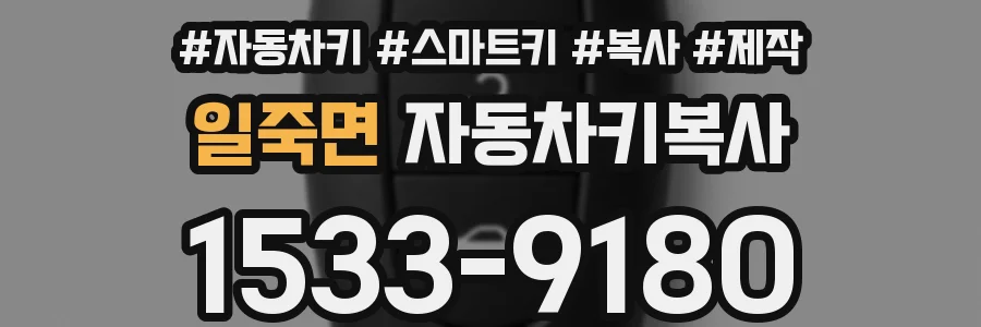 일죽면 자동차키복사