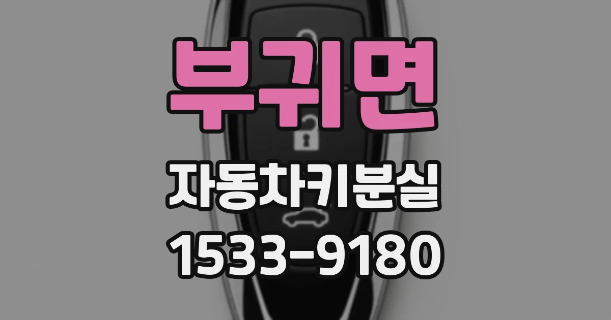 부귀면 자동차키분실