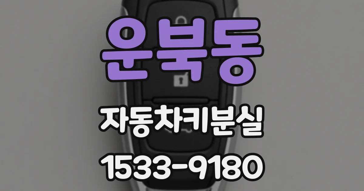 운북동 자동차키분실