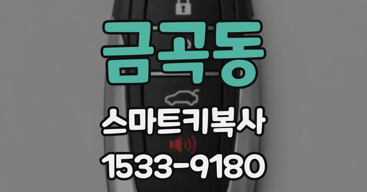 금곡동 스마트키복사