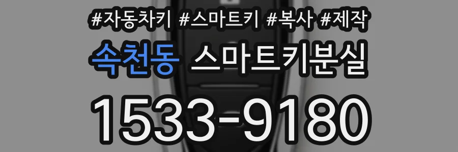 속천동 스마트키분실