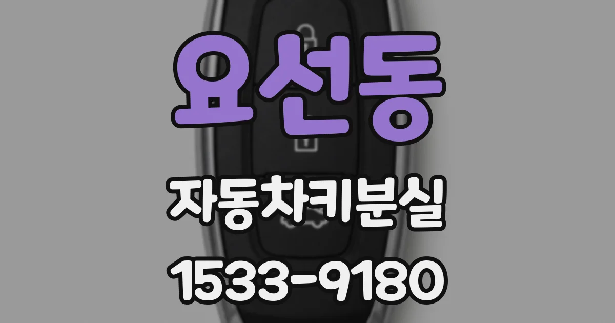 요선동 자동차키분실