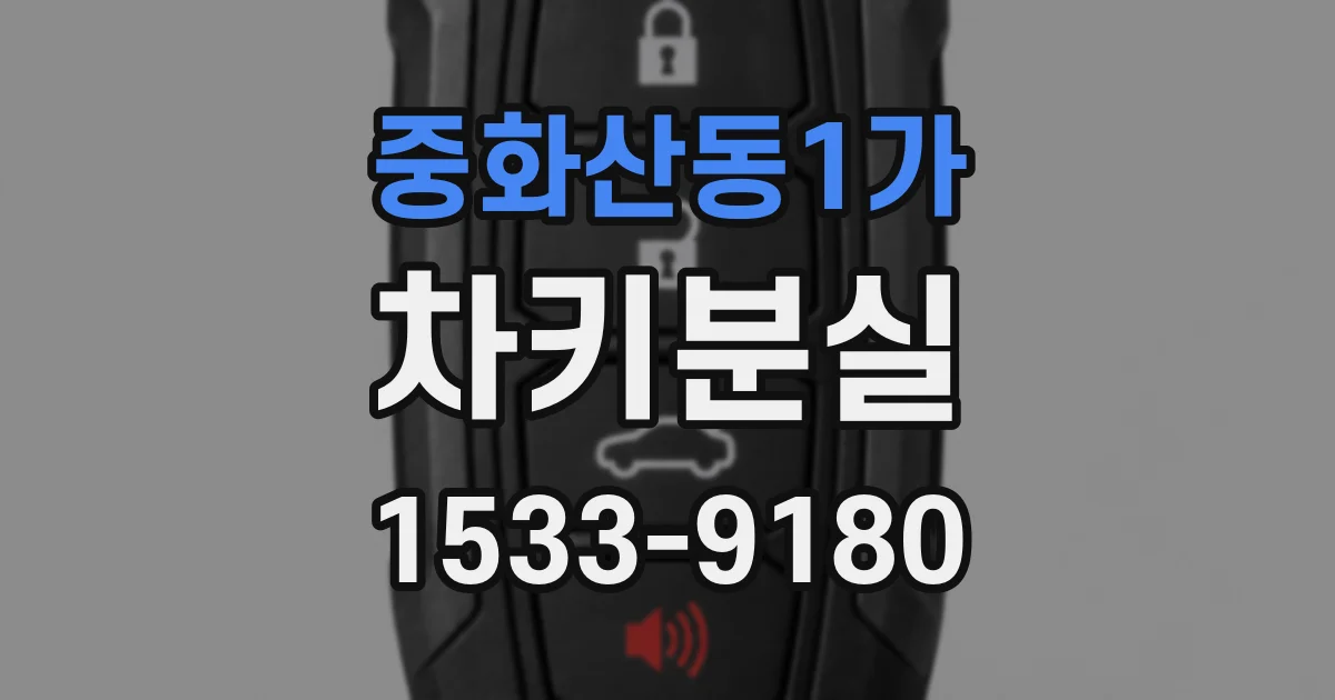 중화산동1가 차키분실
