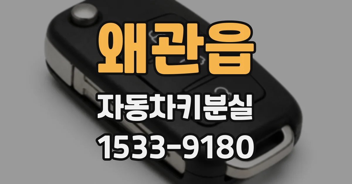 왜관읍 자동차키분실