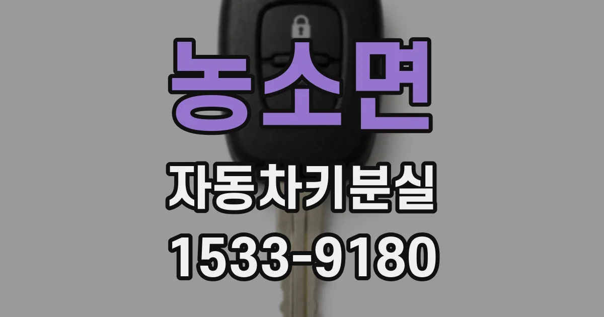 농소면 자동차키분실