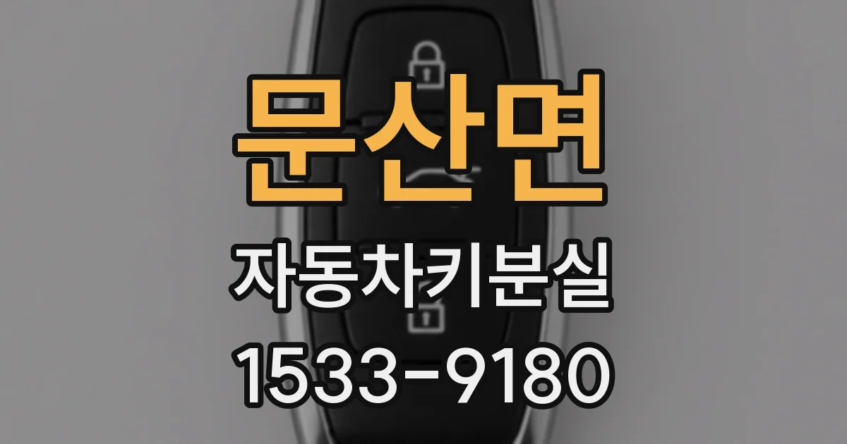 문산면 자동차키분실
