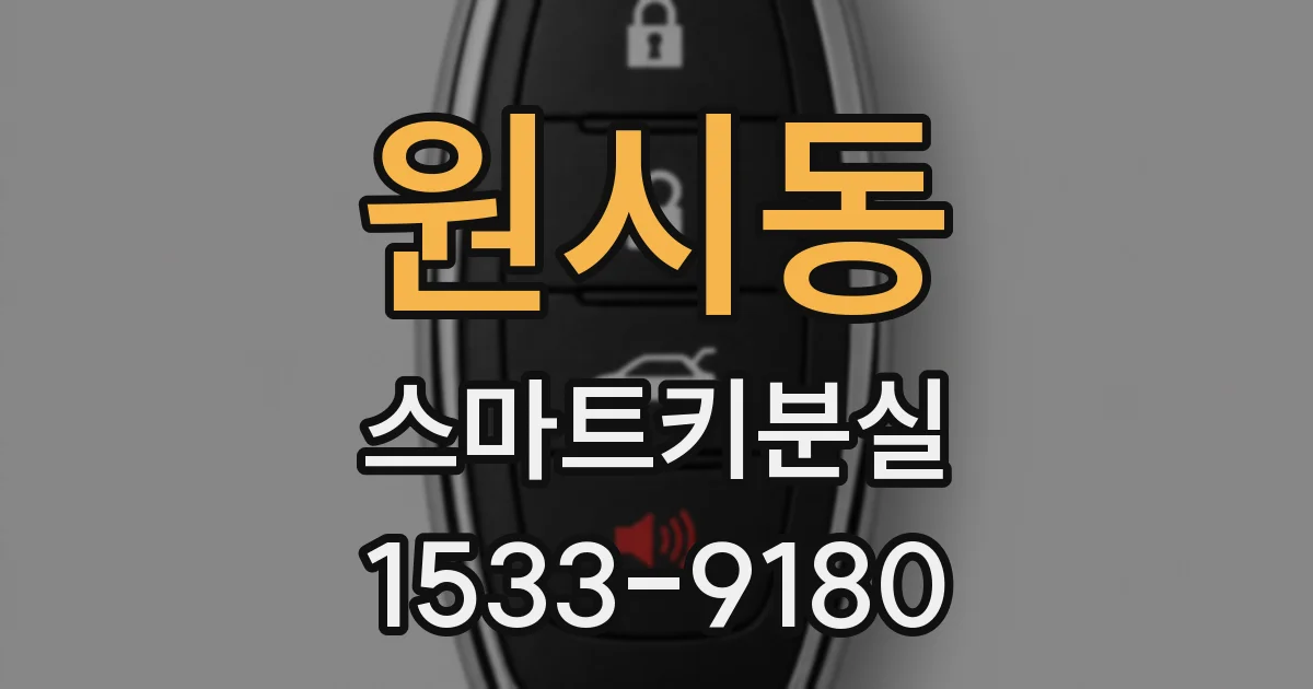 원시동 스마트키분실