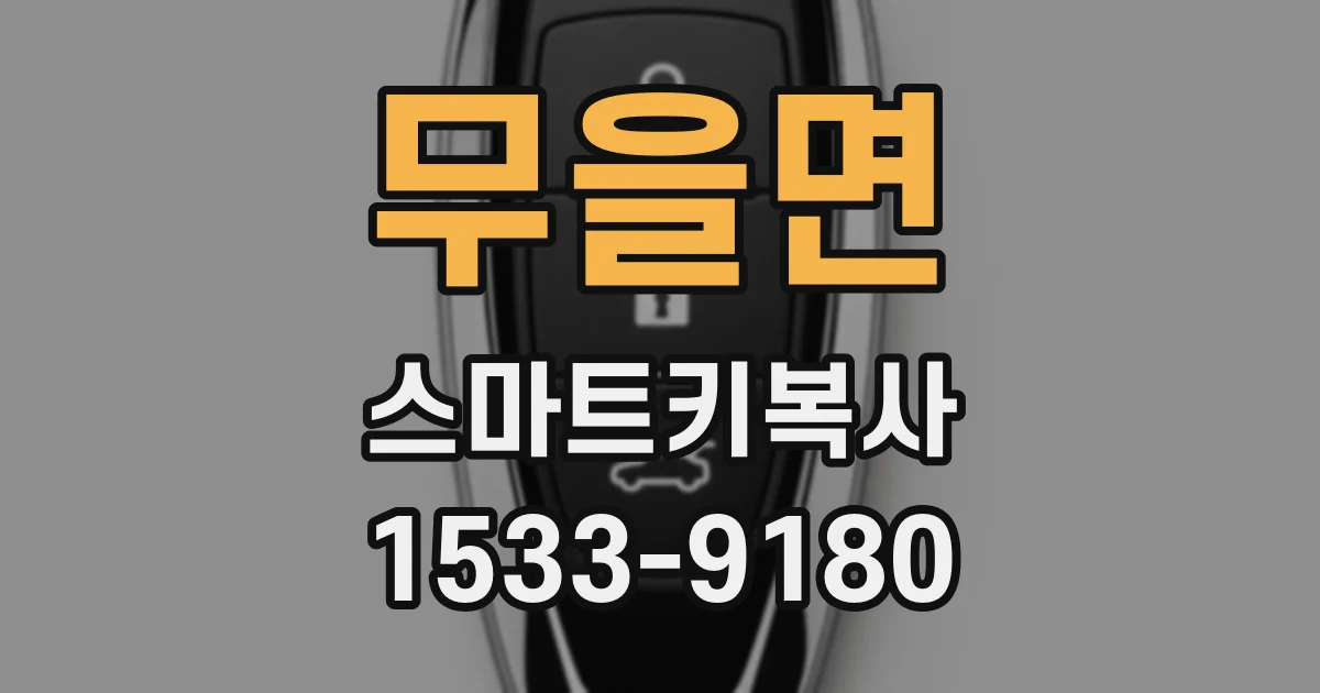 무을면 스마트키복사