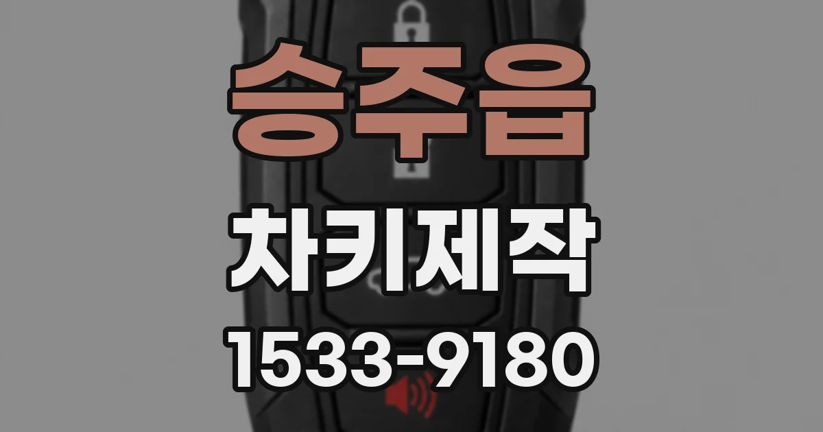 승주읍 차키제작