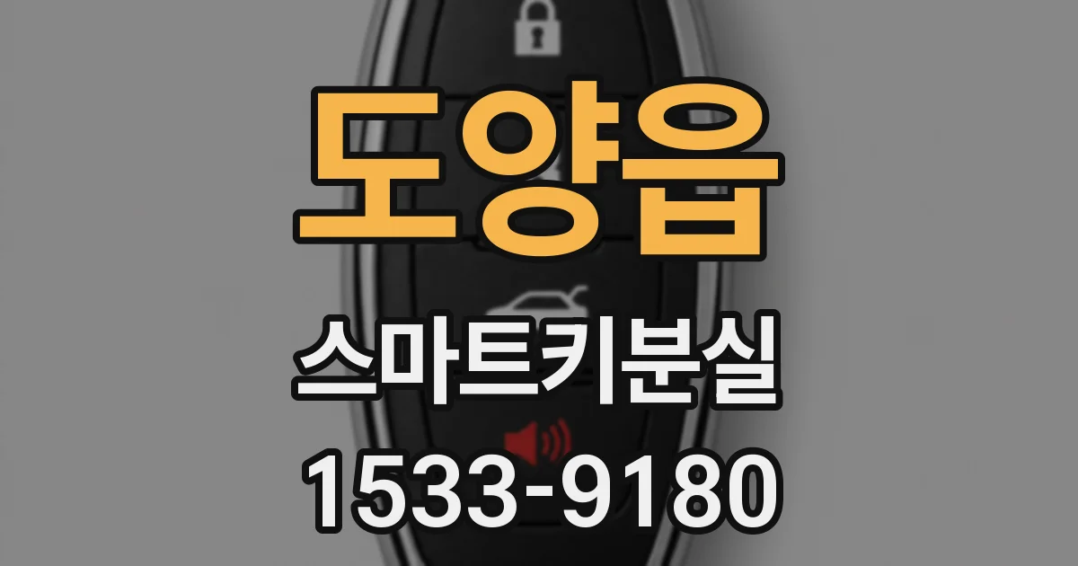 도양읍 스마트키분실