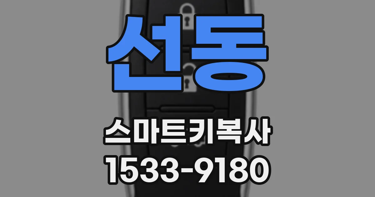 선동 스마트키복사