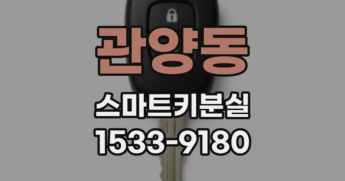 관양동 스마트키분실