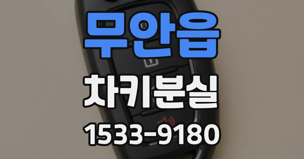 무안읍 차키분실