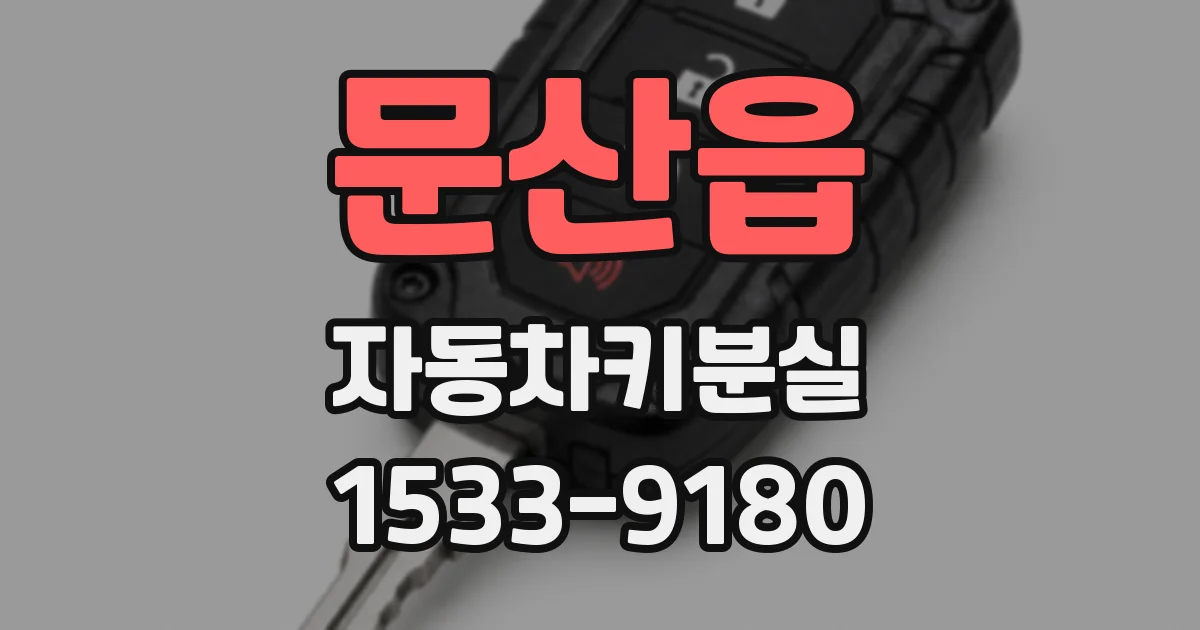 문산읍 자동차키분실