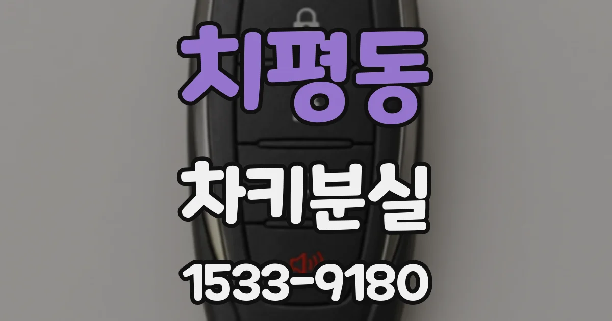 치평동 차키분실
