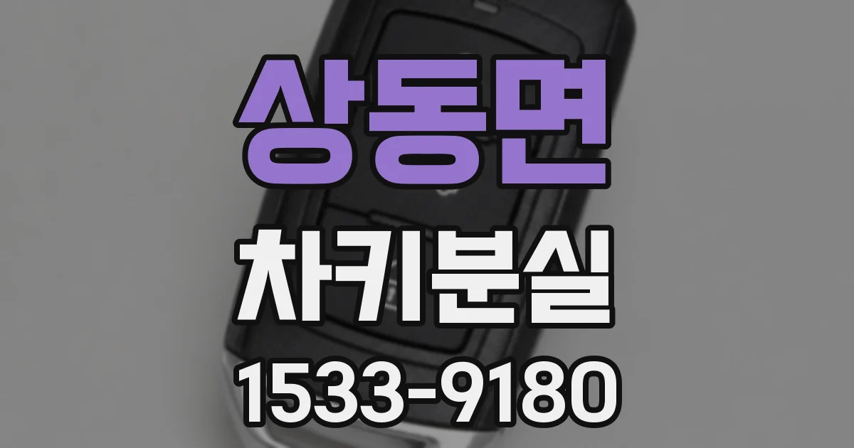 상동면 차키분실